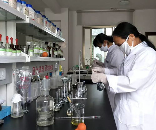 让创新，让梦想腾飞——顺丰工程技术中心的“娘子军”一直在奋斗